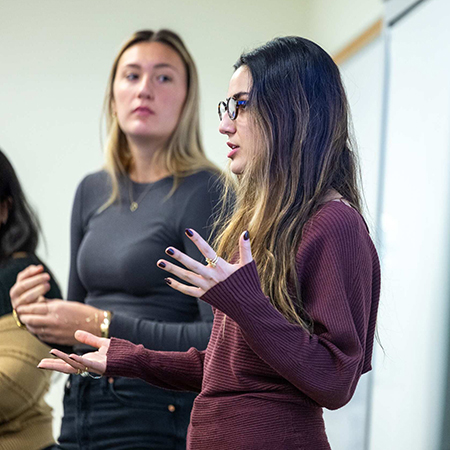 Sustainability Consulting Sustainability Consulting