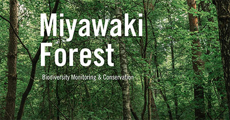 Miyawaki Forest Guide
